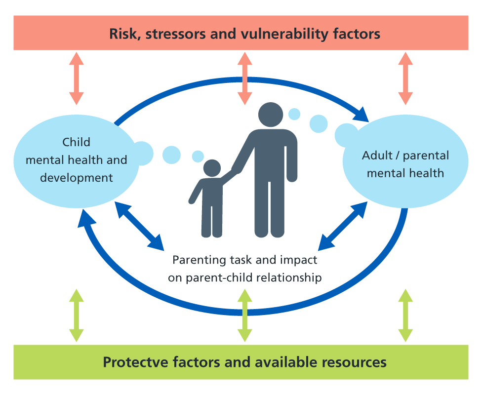 The Family Model Risks Diagram